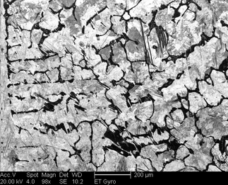 /static/micrographs/micrograph1001.png