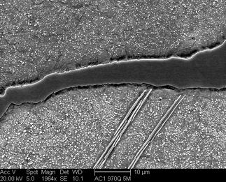 /static/micrographs/micrograph1003.png