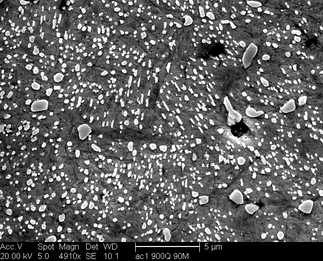/static/micrographs/micrograph1006.png