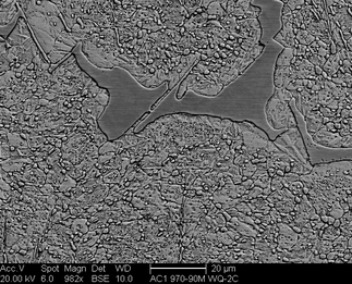 /static/micrographs/micrograph1008.png