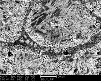 /static/micrographs/micrograph1009.png