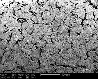 /static/micrographs/micrograph1010.png