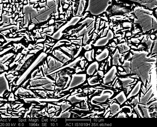 /static/micrographs/micrograph1012.png