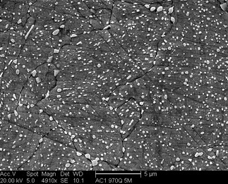 /static/micrographs/micrograph1013.png