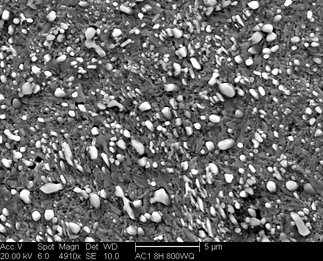 /static/micrographs/micrograph1015.png