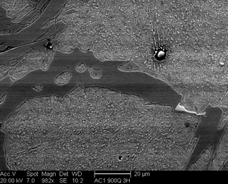 /static/micrographs/micrograph1017.png