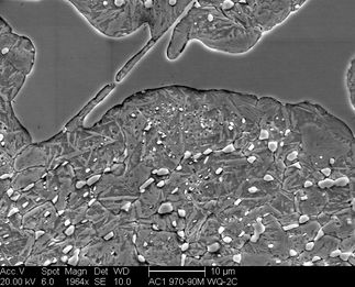 /static/micrographs/micrograph1018.png