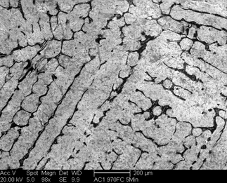 /static/micrographs/micrograph1019.png