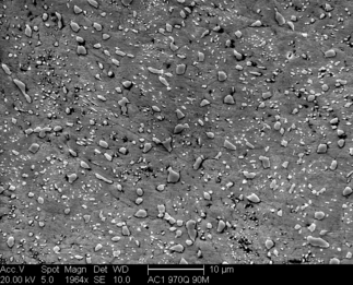 /static/micrographs/micrograph1022.png