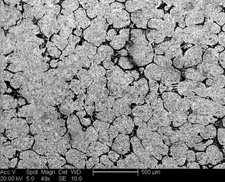 /static/micrographs/micrograph1023.png