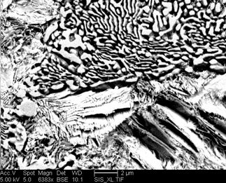 /static/micrographs/micrograph1025.png