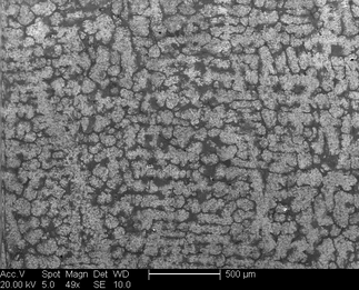 /static/micrographs/micrograph1026.png