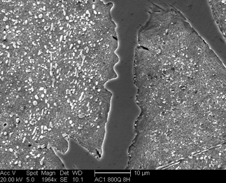 /static/micrographs/micrograph1028.png