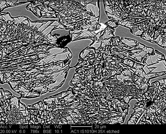 /static/micrographs/micrograph1030.png
