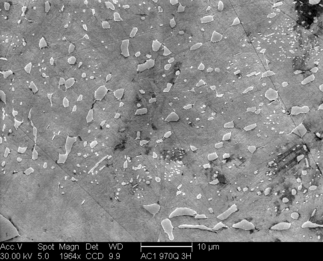 /static/micrographs/micrograph1032.png