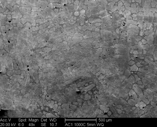 /static/micrographs/micrograph1035.png