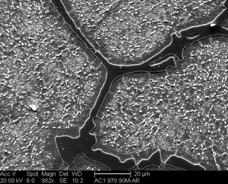 /static/micrographs/micrograph104.png