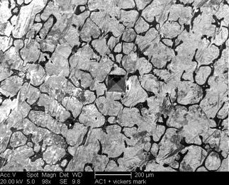 /static/micrographs/micrograph1040.png