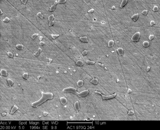 /static/micrographs/micrograph1045.png