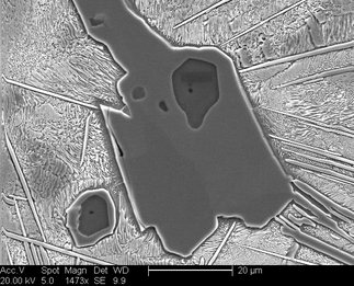 /static/micrographs/micrograph1046.png