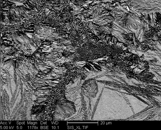 /static/micrographs/micrograph1048.png