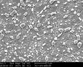 /static/micrographs/micrograph1052.png