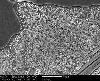 /static/micrographs/micrograph1053.png