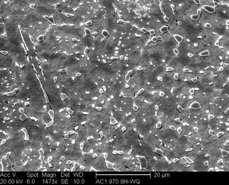 /static/micrographs/micrograph1054.png