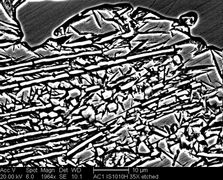 /static/micrographs/micrograph1055.png