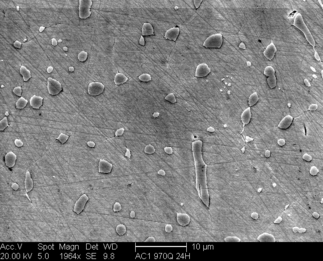 /static/micrographs/micrograph1056.png