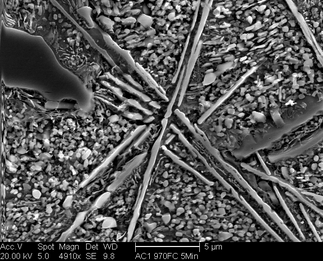 /static/micrographs/micrograph1057.png