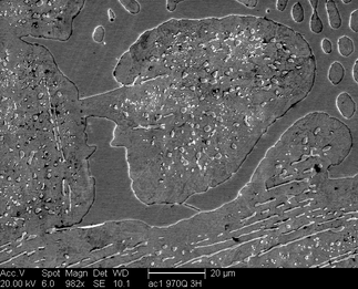 /static/micrographs/micrograph1058.png