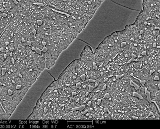 /static/micrographs/micrograph1059.png