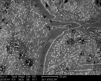 /static/micrographs/micrograph1061.png