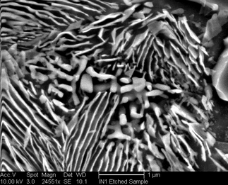 /static/micrographs/micrograph1062.png