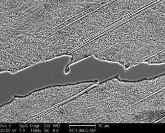 /static/micrographs/micrograph1063.png