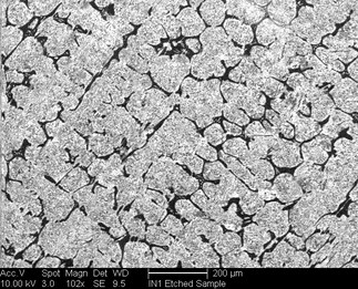 /static/micrographs/micrograph1064.png