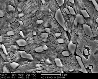 /static/micrographs/micrograph1068.png