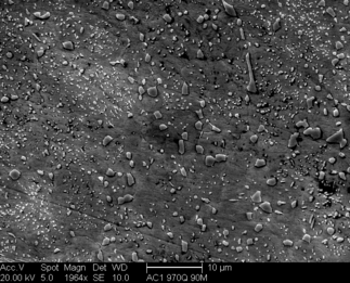 /static/micrographs/micrograph107.png