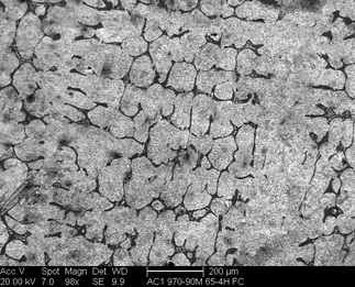 /static/micrographs/micrograph1072.png