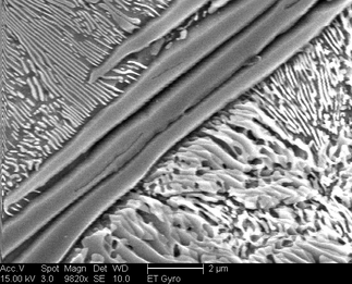 /static/micrographs/micrograph1076.png