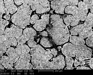 /static/micrographs/micrograph1077.png