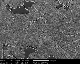 /static/micrographs/micrograph1078.png