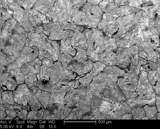 /static/micrographs/micrograph1080.png