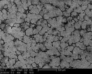 /static/micrographs/micrograph1082.png