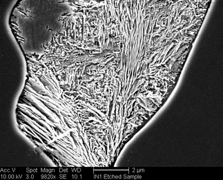 /static/micrographs/micrograph1083.png
