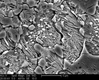 /static/micrographs/micrograph109.png