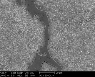 /static/micrographs/micrograph1092.png