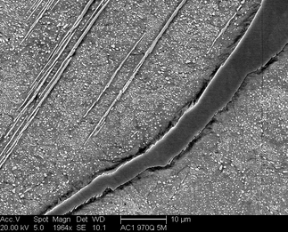 /static/micrographs/micrograph1093.png