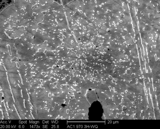 /static/micrographs/micrograph1094.png